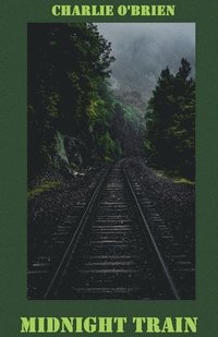 bokomslag Midnight Train