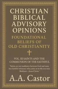bokomslag Christian Biblical Advisory Opinions