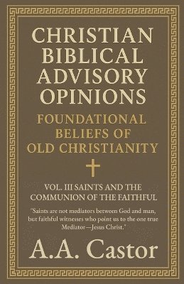 bokomslag Christian Biblical Advisory Opinions