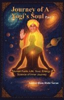 bokomslag Journey of a Yogi's Soul - Part 2