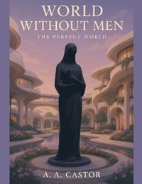 bokomslag World Without Men