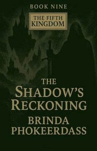bokomslag Shadow's Reckoning
