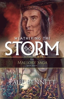 bokomslag Weathering the Storm
