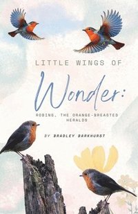 bokomslag Little Wings of Wonder
