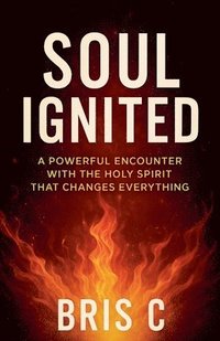 bokomslag Soul Ignited