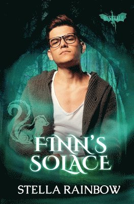 bokomslag Finn's Solace