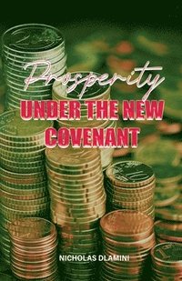 bokomslag Prosperity under the New Covenant