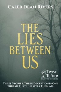 bokomslag Lies Between Us