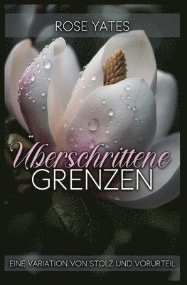 bokomslag Überschrittene Grenzen: Eine Variation von Stolz und Vorurteil