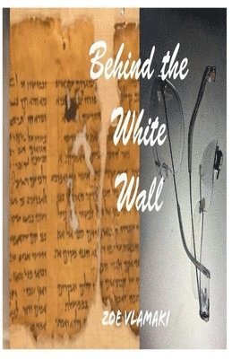 bokomslag Behind the White Wall