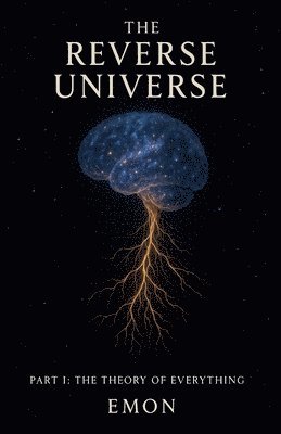 bokomslag Reverse Universe
