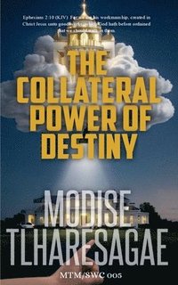 bokomslag Collateral Power of Destiny