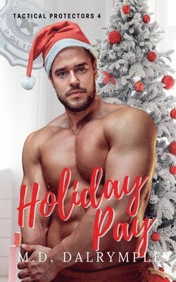 bokomslag Holiday Pay