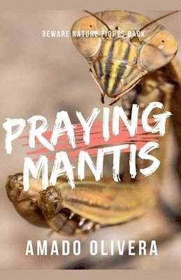 bokomslag Praying Mantis