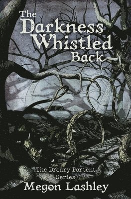 bokomslag Darkness Whistled Back