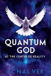 bokomslag Quantum God