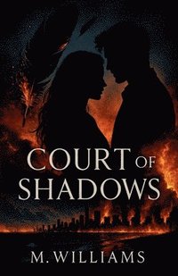 bokomslag Court of Shadows