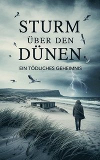 bokomslag Sturm über den Dünen