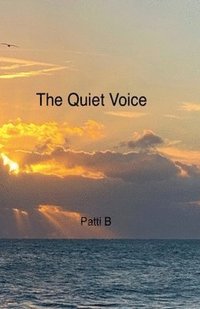 bokomslag Quiet Voice