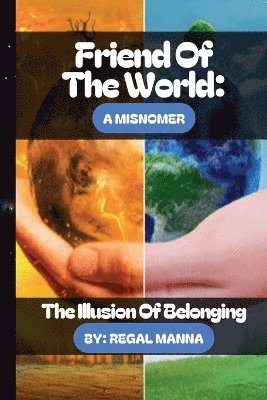 bokomslag Friend of The World