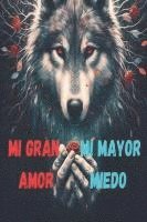 bokomslag Mi gran amor y mi mayor miedo