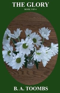 bokomslag Glory