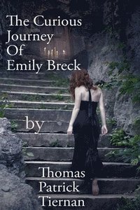 bokomslag Curious Journey Of Emily Breck