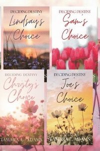 bokomslag Deciding Destiny Series Omnibus