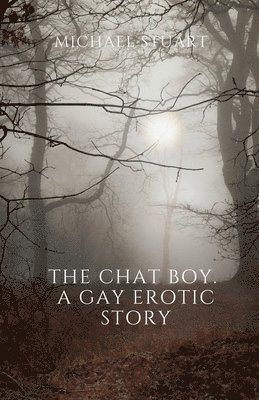 Chat Boy. A Gay Erotic Story