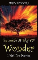 bokomslag Beneath A Sky of Wonder