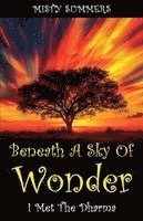 Beneath A Sky of Wonder
