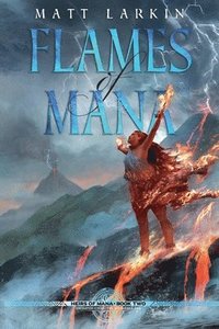 bokomslag Flames of Mana