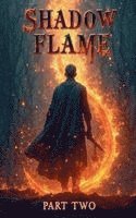 bokomslag Shadow Flame