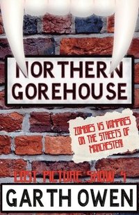 bokomslag Northern Gorehouse