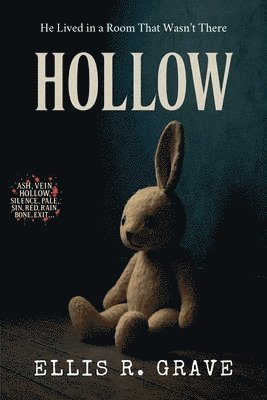 bokomslag Hollow: He Lived in a Room That Wasn't There