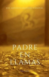 bokomslag Padre En Llamas