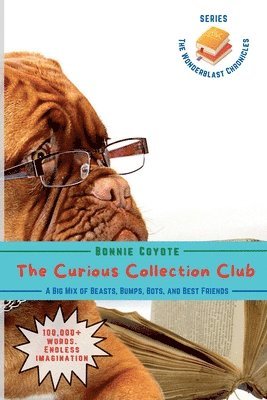 bokomslag Curious Collection Club