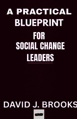 David J Brooks - Practical Blueprint For Social Change Leaders, Häftad