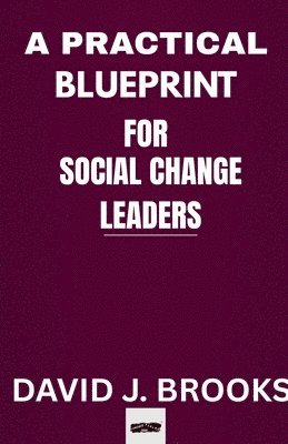 David J Brooks, David J. Brooks - Practical Blueprint For Social Change Leaders, Häftad