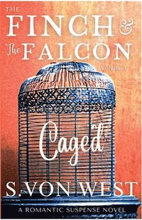 bokomslag Finch and the Falcon