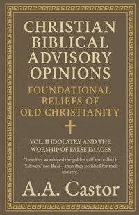 bokomslag Christian Biblical Advisory Opinions