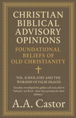 bokomslag Christian Biblical Advisory Opinions