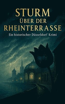bokomslag Sturm über der Rheinterrasse - Ein historischer Düsseldorf Krimi