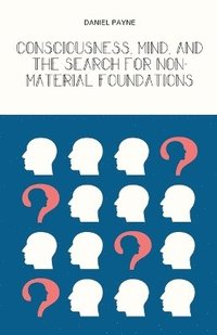 bokomslag Consciousness, Mind, and the Search for Non-Material Foundations
