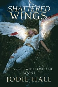 bokomslag Shattered Wings
