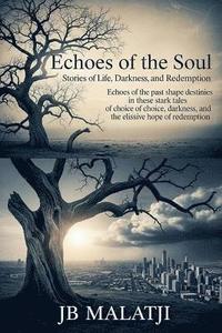 bokomslag Echoes of the Soul