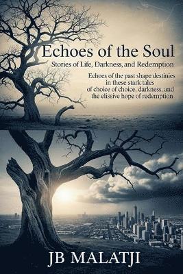 bokomslag Echoes of the Soul