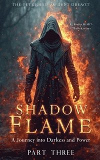 bokomslag Shadow Flame