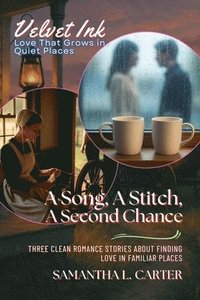 bokomslag Song, A Stitch, A Second Chance