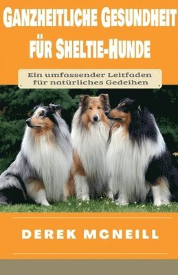 Ganzheitliche Gesundheit für Sheltie-Hunde
